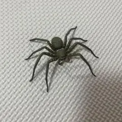 アシダカグモ　ガチャガチャ　フィギュア リアル 昆虫 模型 — image 1