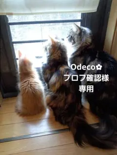 Odeco✿⁠プロフ確認様専用です♪︎ — image 1