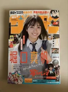 週刊少年サンデー 2024年49号 堀口真帆 表紙 — image 1