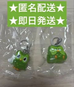 【本日発送⭕️】duolingoめじるしアクセサリー2点セット！ — image 1