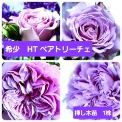 ガーン様 リクエスト 2点 まとめ商品 — image 1