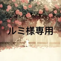 ルミ 様　専用 — image 1