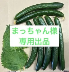 まっちゃん様 専用出品 — image 1