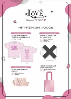 ＝LOVE Beyond "KYUN"♡」VIPプレミアムチケット　グッズ　3点 — image 1