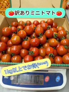 最終日★訳あり筋肉トマト〜１kg入り〜 — image 1
