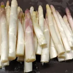 ホワイトアスパラガスB級品【700g】 露地栽培 — image 1
