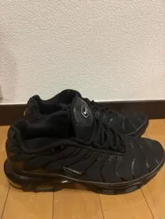 Nike Air Max Plus "Triple Black" 27 — image 1