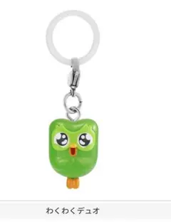 duolingo めじるしアクセサリー — image 1