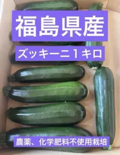 福島県産 ズッキーニ コンパクトBOX入り農薬化学肥料不使用 — image 1