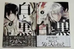 BL／白と黒 -妖蛇と身代わりのつがい- 上下巻／下崎 — image 1