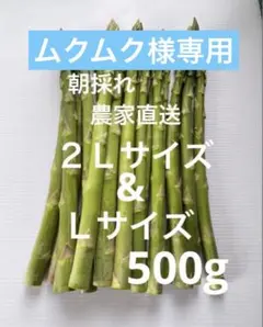 朝採れ　農家直送　アスパラ　アスパラガス　500g — image 1