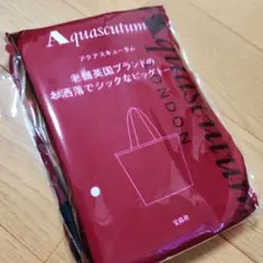 Aquascutumビッグトート — image 1