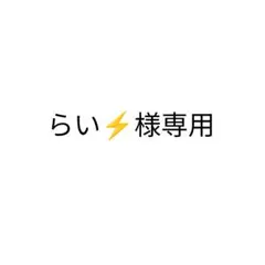 らい⚡様専用 — image 1