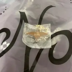 アレグリア　シルクドソレイユ　キーホルダー — image 1