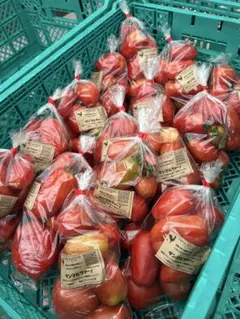 FARM ROOSTER サンマルツァーノ 5キロ　トマト — image 1