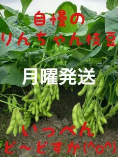 ⑥枝豆 — image 1