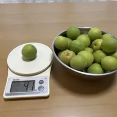Miel-ko 様　専用　梅中〜大1キロ — image 1
