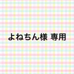 よねちん様 専用 — image 1