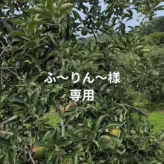 ふ〜りん〜様専用 — image 1