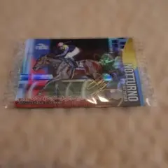 ジャパンダートダービー　ノットゥルノ 第3R — image 1
