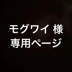 モグワイ 様専用ページ☆ — image 1