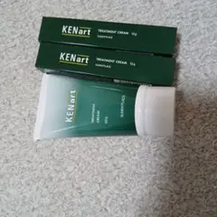 SUNNYPLACE KENart トリートメントクリーム 60g 12g — image 1