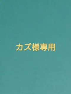 カズ様専用 タナゴ釣り仕掛け2本セット — image 1