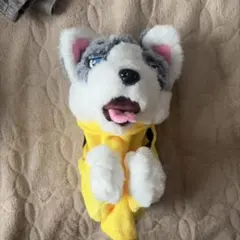 カンフー犬 — image 1