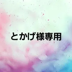 とかげ様専用ページ　2枚目以降ご確認必須 — image 1