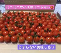 ミニミニサイズのミニトマト！800g — image 1
