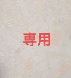 専用！ — image 1