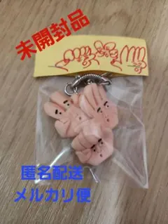 ★未開封品★Choibusu Keyholderちょいブスキーホルダー — image 1