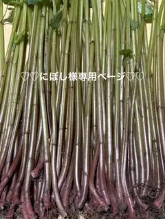 ♡♡にぼし様専用ページ♡♡ — image 1