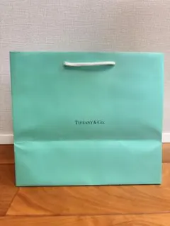 TIFFANY & Co. テイフアニー ショッピングバッグ 紙袋 — image 1