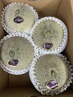 茨城産アンデスメロン1箱4,5,6玉6kg — image 1