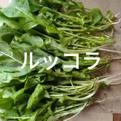 野菜セット　ルッコラ — image 1