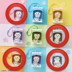 未開封★ちいかわチョコボックス　ちいかわ　ラッコ　　シーサー　あのこ — image 1