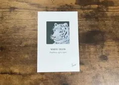 WHITE TIGER ポストカード — image 1