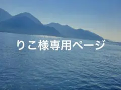 りこ様専用ページ — image 1