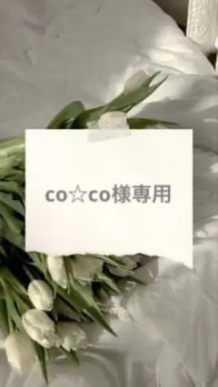 co☆co様専用 — image 1