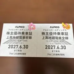 アルピコ株主優待　上高地線　乗車証 — image 1
