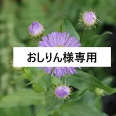 おしりん様専用 — image 1