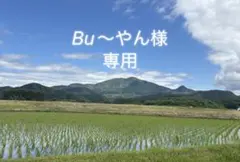 専用 — image 1