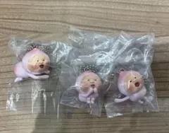 こびとづかん　カクレモモジリコレクション — image 1