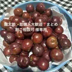 龍太郎✨即購入大歓迎❣️まとめ割ご相談可 様専用 — image 1