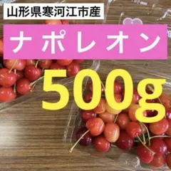 【 ナポレオン 】大特価‼️28日発送‼️ 数量限定‼️ 山形県産 さくらんぼ 訳あり — image 1