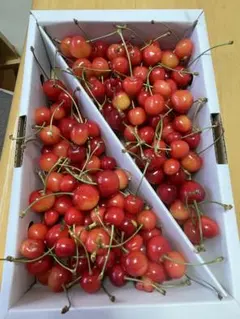 melloさん専用 — image 1