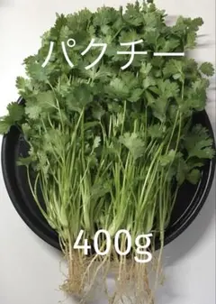 パクチー 香菜 コリアンダー 400g — image 1