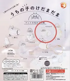 うちの子のけだまだま ガチャ シャムトラ — image 1