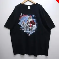 猫 FRUIT OF THE LOOM Tシャツ 3XL — image 1
